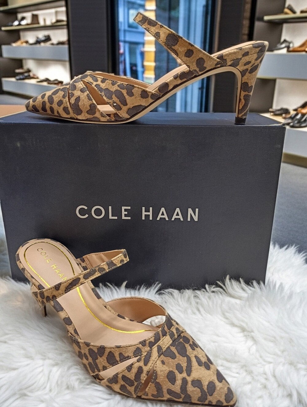 Cole Haan Vandam Dress Mule Leopard Print Suede Women's Sz 6.5 B 🆕